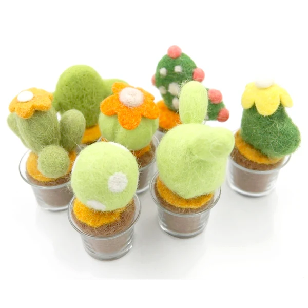 Cactus 01 - Image 4