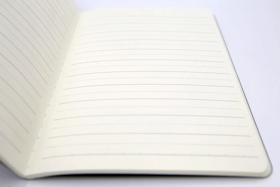 CAHIER DEER STAR - Image 3