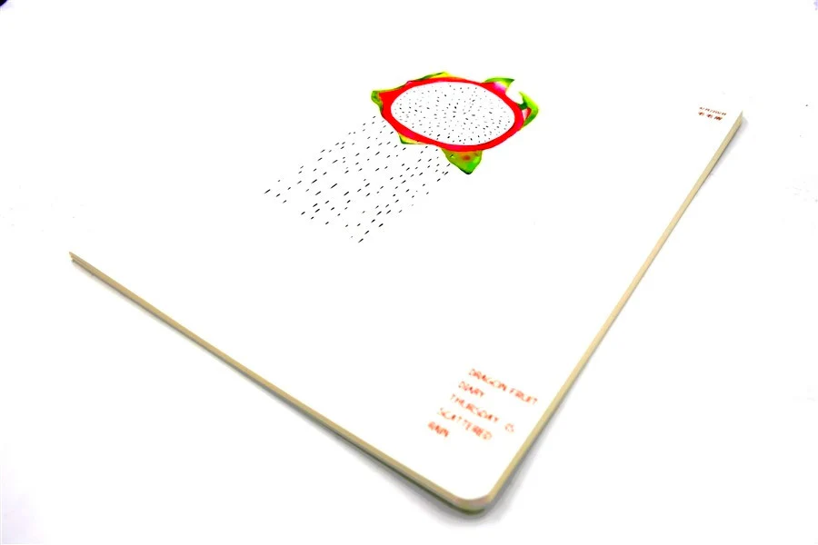 CAHIER FRUIT DU DRAGON - Image 4