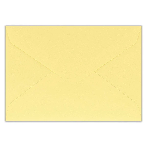 Carte de Vœux Window - Thank You Parrot - Image 4