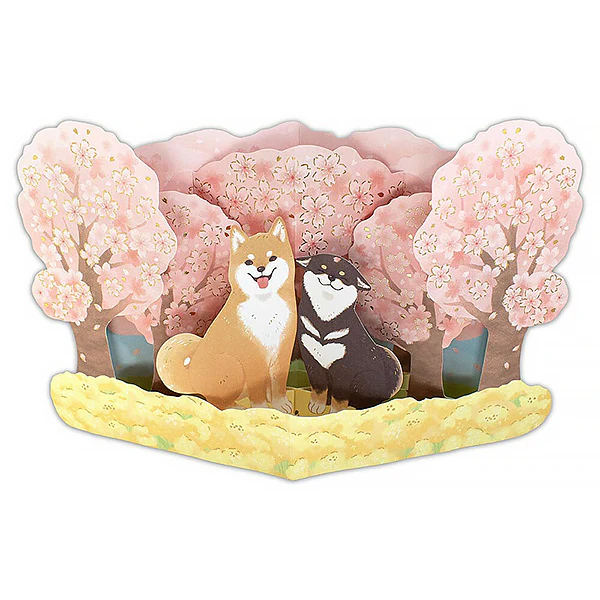 Carte Pop Up 3D Sakura Shiba
