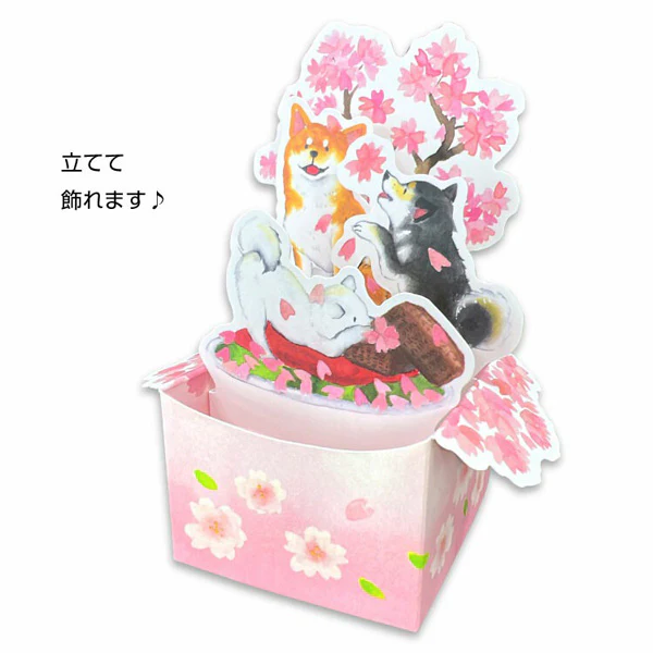 Carte Pop Up Shiba Inu - Spring Box Sakura