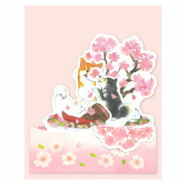 Carte Pop Up Shiba Inu - Spring Box Sakura - Image 2