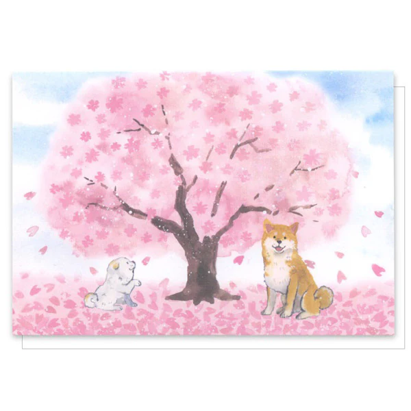 Carte Pop Up Shiba Sakura