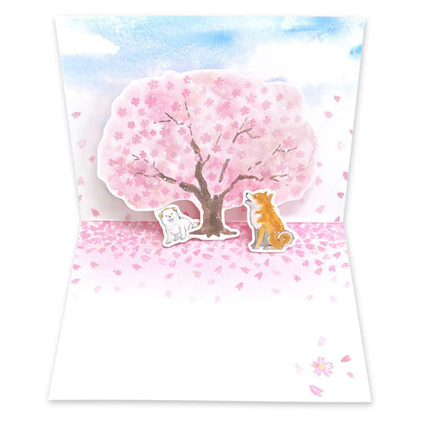 Carte Pop Up Shiba Sakura - Image 2