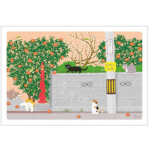 Carte Postale Chat - Good Afternoon - Image 2