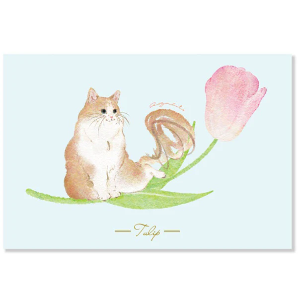 Carte Postale Chat Metty Bébé - Tulipe