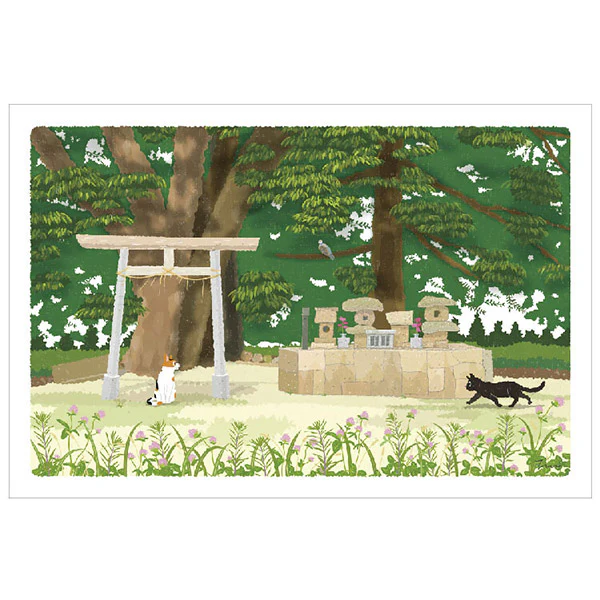 Carte Postale Chat - Promised Place