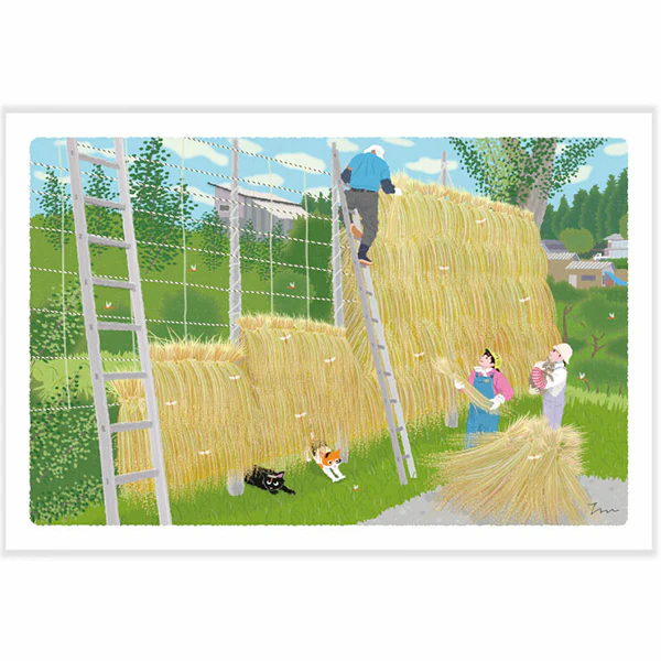 Carte Postale Chat - Saison Paille