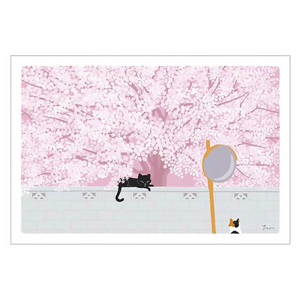 Carte Postale Chat Sakura - Sous les Cerisiers