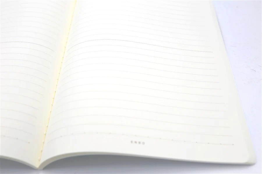 CAHIER FRUIT KIWI - Image 3