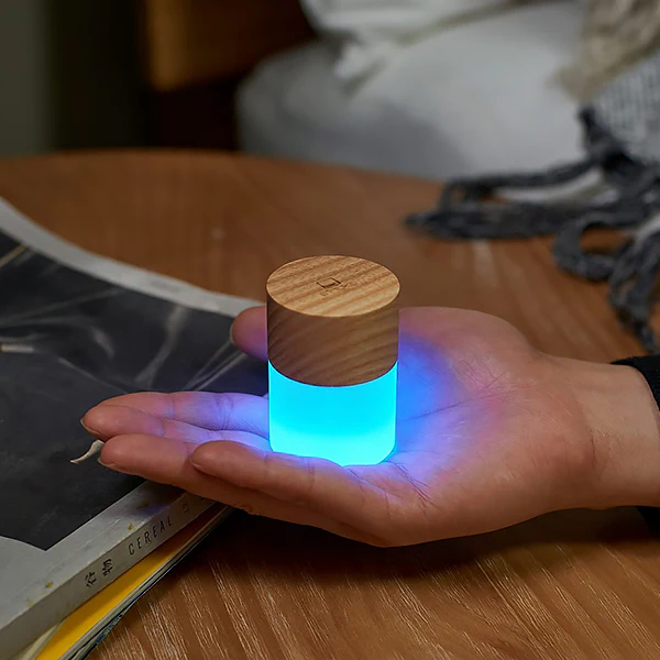 Mini Lampe Lemelia - Frêne Blanc