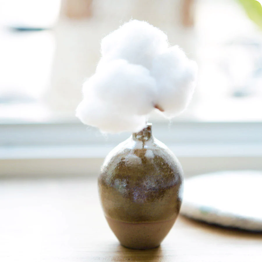Mini Vase - Soliflore, Minah