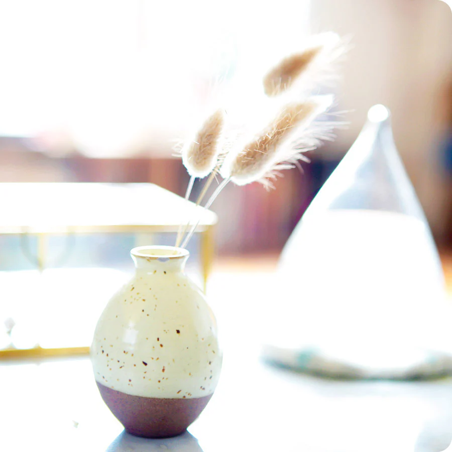 Mini Vase - Soliflore, Mira