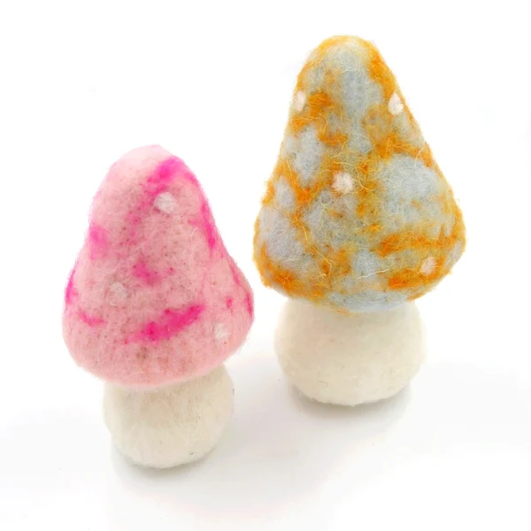 Mushroom B & P - Image 2