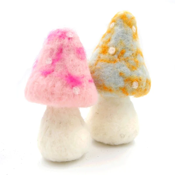 Mushroom B & P - Image 3