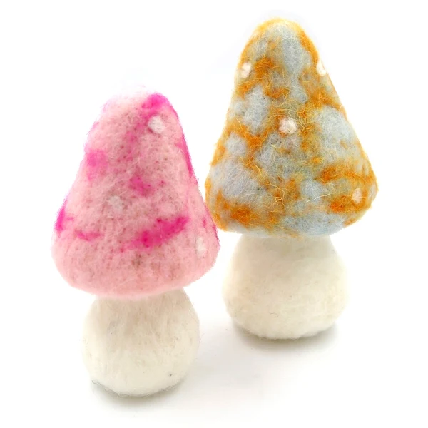 Mushroom B & P - Image 4