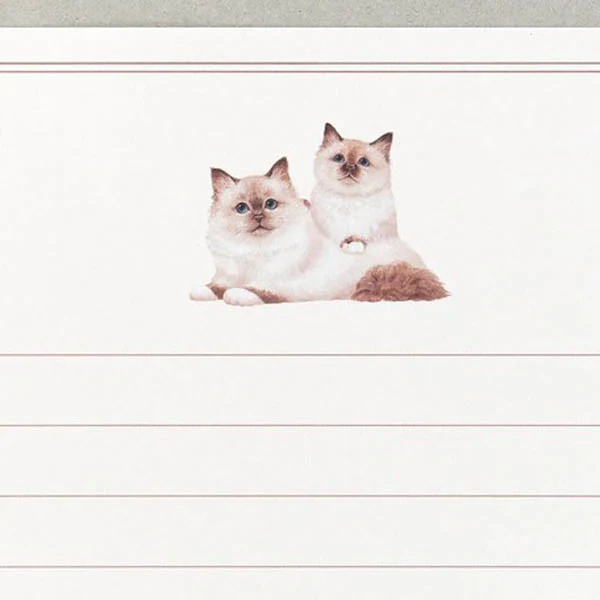 Papier Lettre & Enveloppe Mino - Chat Birman - Image 4