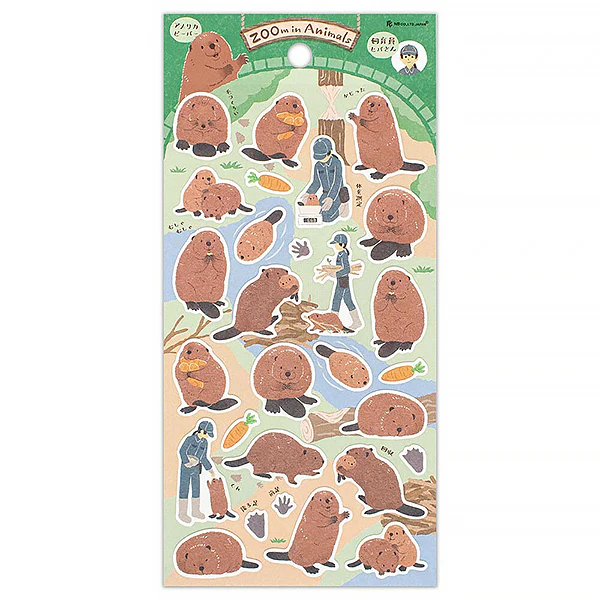 Stickers Zoom in Animals - Castor