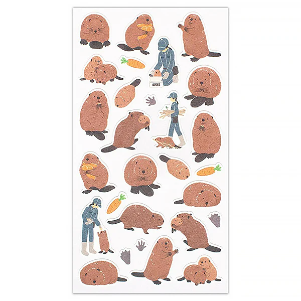 Stickers Zoom in Animals - Castor - Image 2