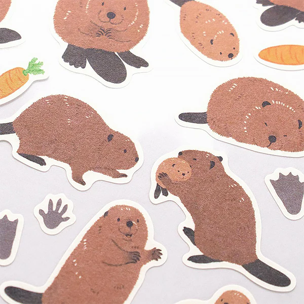 Stickers Zoom in Animals - Castor - Image 3